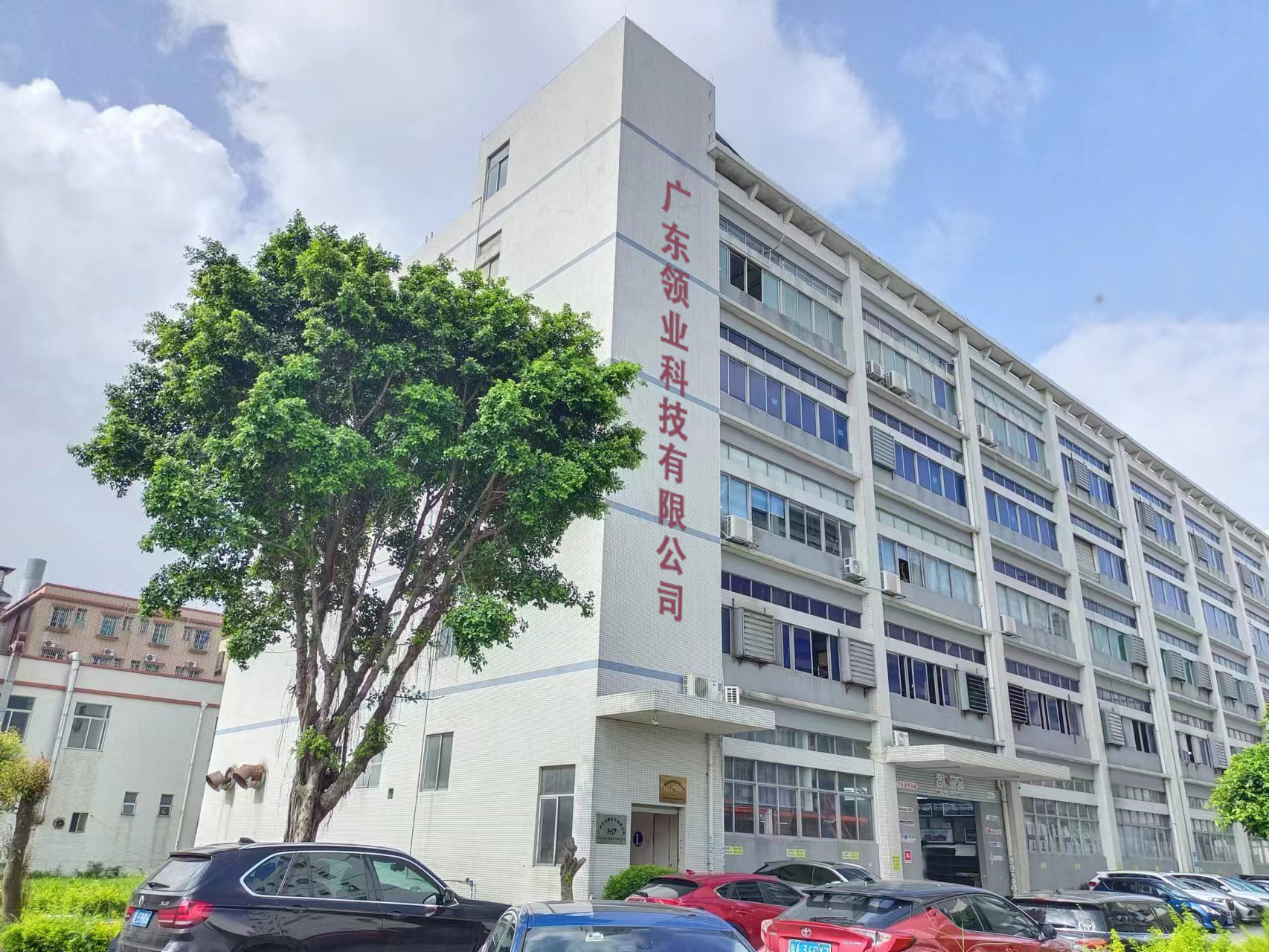 Guangdong Lingye Technology Co., Ltd.